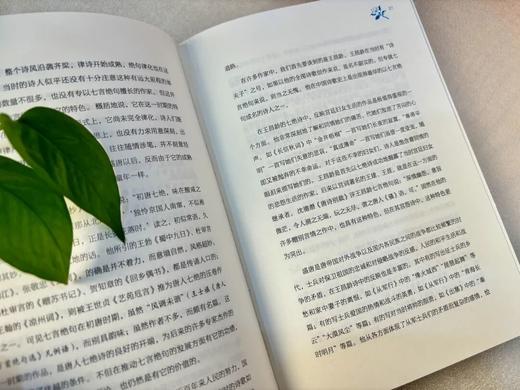 《程沈说诗词》礼盒钤印版（全4册），程沈说诗词，一代国人的诗词之梦， 商品图5