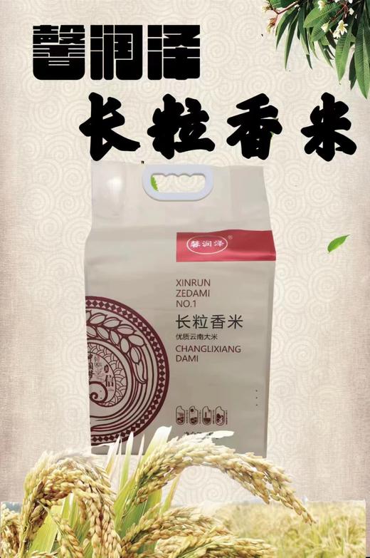 云南曲靖会泽馨润泽长粒香米，多种规格 商品图0