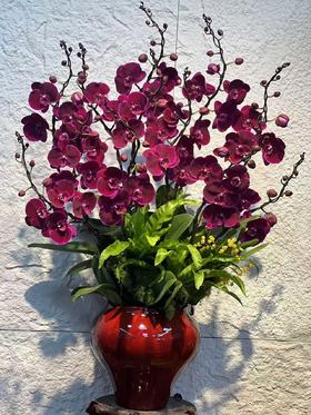 高端大气定制蝴蝶兰造型盆栽霓虹灯12支