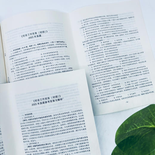 社会工作实务（初级）真题详解 2026 中国社会出版社官方教辅 全国社会工作者职业资格考试 社工证 商品图2
