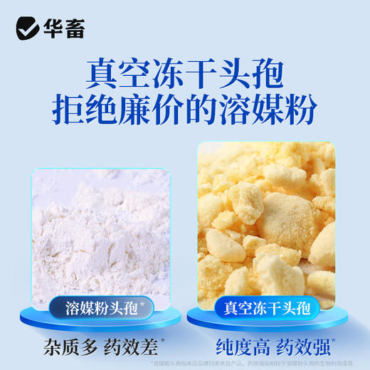 华畜兽药0.5g头孢兽用注射用液猪牛羊针剂 商品图1