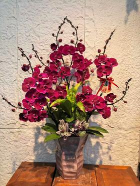 高端花卉定制高贵蝴蝶兰盆栽霓虹灯10支