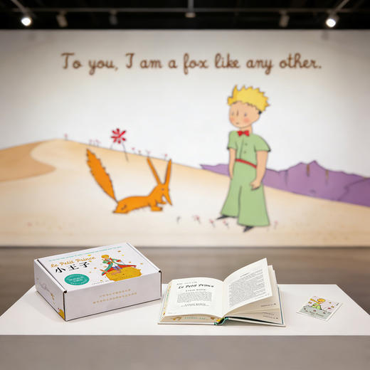 小王子（银河刷边版）（快递箱版） 商品图4