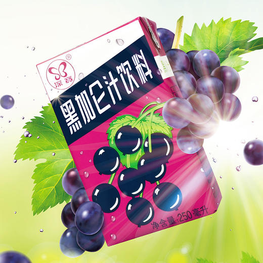 深宝 黑加仑汁 250mlx24 商品图1