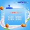 露露 杏仁露250mL×12利乐装 经典原味 商品缩略图7
