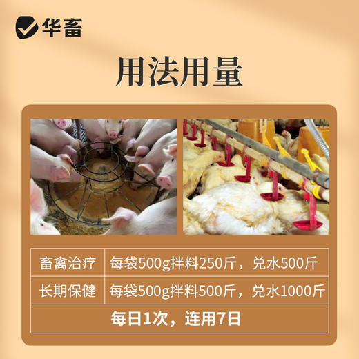 华畜甘草颗粒500g 祛痰止咳清肺平喘 升级款大包装  禽畜通用呼吸道药 商品图4
