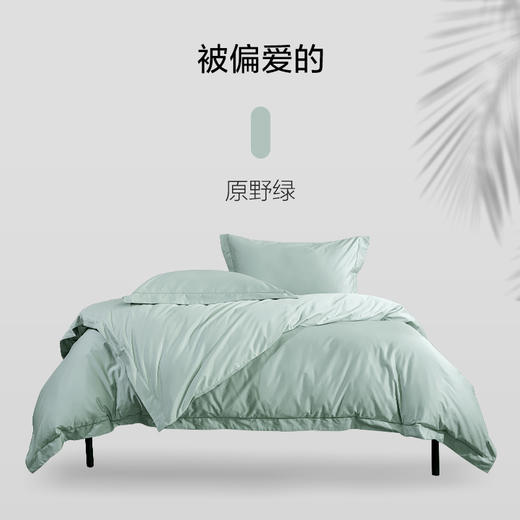 华纺100支纯棉抗菌四件套【山东必买好品】 商品图4