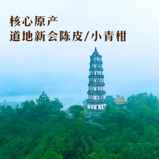 八马茶业｜真芯陈意陈皮+小青柑礼盒装190g 商品图3