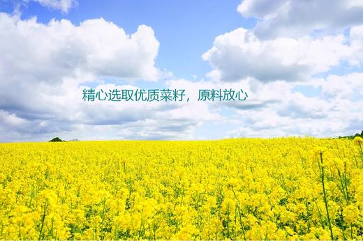 云南曲靖会泽馨润泽非转基因一级菜籽油，5升/桶 商品图3