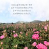 花田玑密凝时抗皱玫瑰精华油【山东必买好品】 商品缩略图2