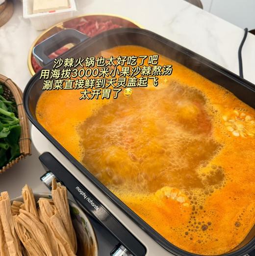 【非遗新味｜沙棘多维火锅汤料】藏着高原3000米的阳光鲜醇，会“美颜”的沙棘火锅！ 商品图5