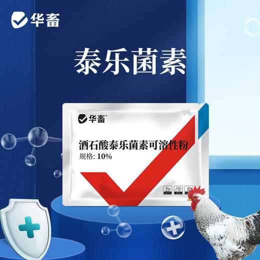 华畜 10%酒石酸泰乐菌素可溶性粉 传染性鼻炎 支原体感染 禽畜通用药 商品图0