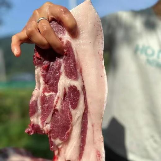 【临沧放山黑土猪 】放山跑足365天，每日山林活动量超5公里，肉质紧实不柴，天然谷物喂养，拒绝催长剂，每一口都是小时候的猪肉香 商品图0