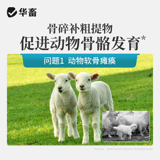 华畜乳钙 优能钙1L 选用有机钙吸收更充分 商品图1