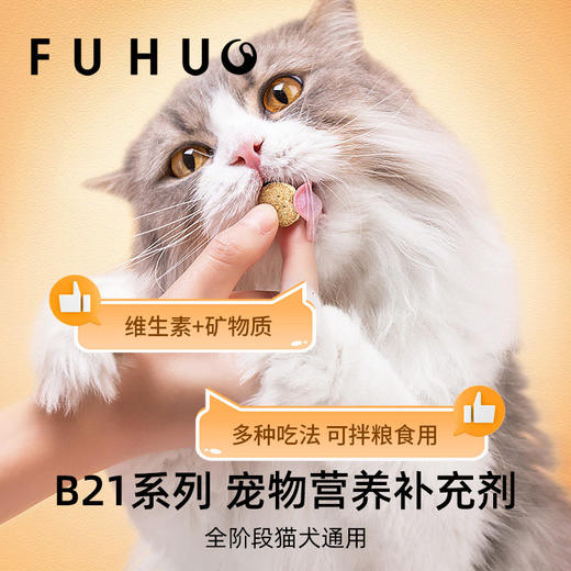 【俘获好礼】俘获B21猫咪维生素宠物多种复合维生素片补充微量元素防掉毛犬猫通用 商品图1