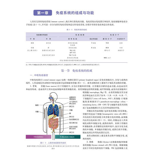 医学免疫学与免疫学检验 第2二版 普通高等教育医学类系列教材 十四五普通高等教育本科规划教材 陈福祥 陈广洁 主编 科学出版社 商品图4