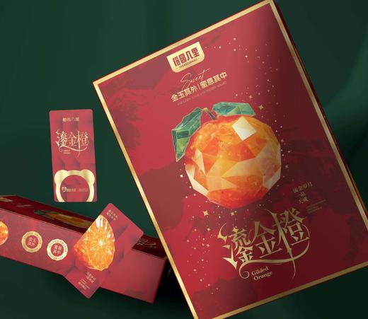 橙园几里赣南脐橙礼盒鎏金橙 商品图1