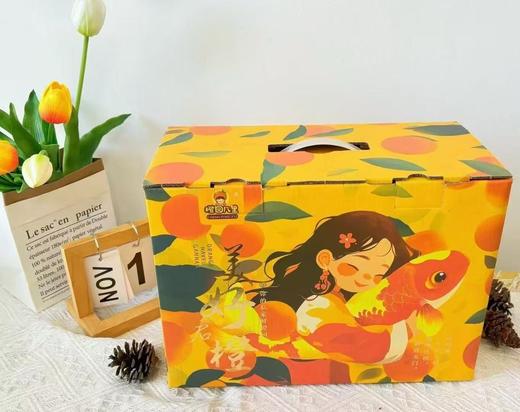 橙园几里赣南脐橙礼盒锦鲤女孩手提款 商品图4