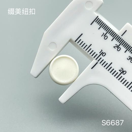 S6687(整包购买) 商品图2