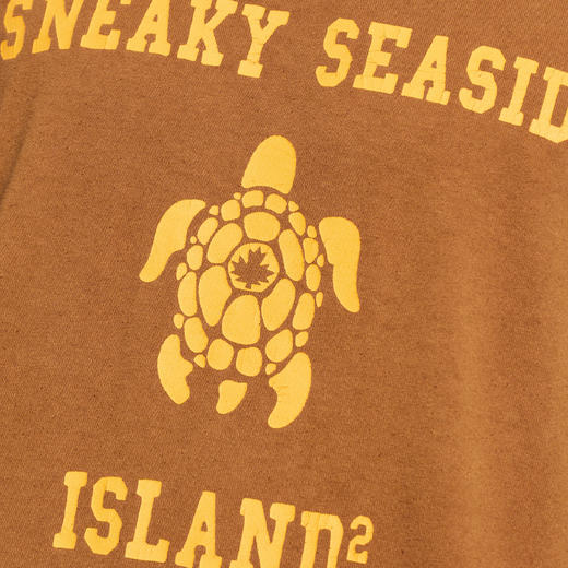 DSQUARED2 男士字母徽标印花棉质圆领短袖T恤 棕色 S74GD1536 D20103 145 商品图3