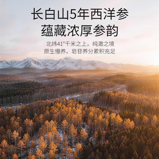 默小吉220g盒装玉灵膏；西洋参和桂圆肉；不加一滴水，直接口服、温水冲泡，感觉累了可以来一杯元气满满红润暖暖 商品图1