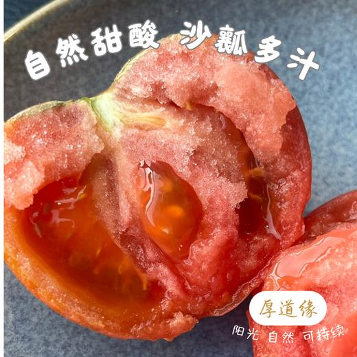 有机露天草莓西红柿||3斤（云南楚雄  厚道缘有机农场) 商品图2