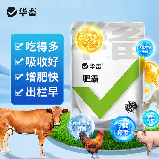 淘牧 肥霸1kg 富含半胱酰胺直接催肥 添加复合菌种 加快吸收 长肉快 早出栏 商品图0