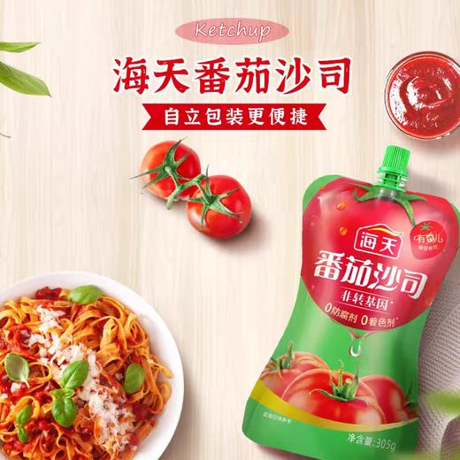 海天番茄沙司(自立袋)305g/袋 商品图1