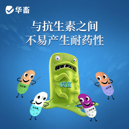 华畜45%延胡索酸泰妙菌素可溶性粉 咳嗽气喘 呼吸困难 纯化合成工艺 进口溶剂 吸收更好 商品图3