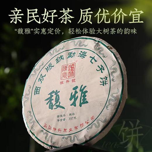 云南版纳勐海大树普洱茶陈升号—馥雅生茶375/饼 商品图2