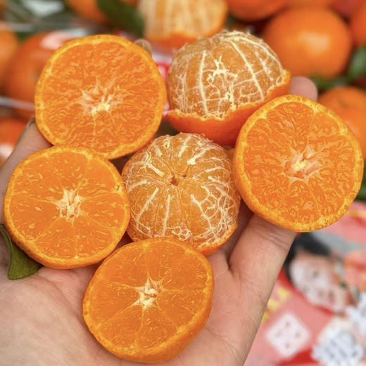 广西荔浦沙糖桔 商品图0