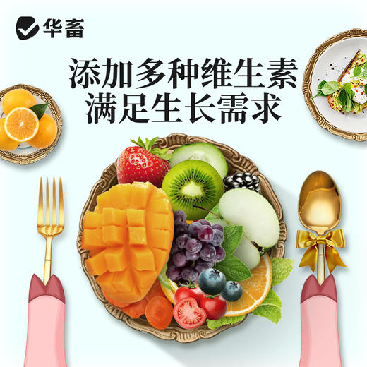 【整吨更优惠】华畜4%仔猪后期复合预混料20kg 适口性好拉骨架 商品图1