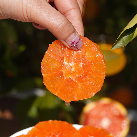 【橙中贵族】秭归中华红橙 5斤装 汁多肉嫩 酸甜可口 源自中国脐橙之乡 顺丰直发 商品图6