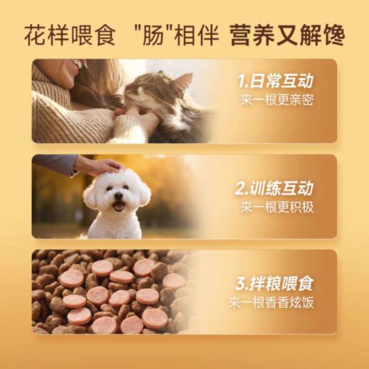 【新品】宽福  鱼油火腿肠 犬猫通用 口口鲜肉 低盐营养Q弹 0诱食剂0着色剂放心吃 商品图4