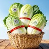 丨有机丨青岛胶州大白菜 生食甘甜清脆 熟食风味甘美  地理标志 商品缩略图3