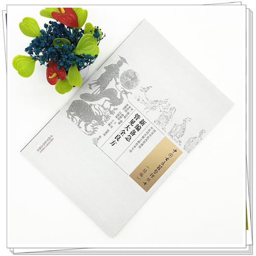 新编备急管见大全良方 (宋) 陈自明 编篆（中国古医籍整理丛书:续编） 中国中医药出版社 商品图1