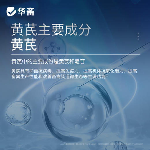 华畜黄芪多糖500g 抗病利尿、排毒消肿、补气益血，高含量 高浓度 大包装 商品图2