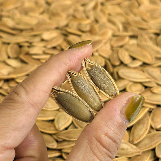 【我核你】新疆美人甲瓜子 五香南瓜子 粒大干净 配料简单 一嗑就沦陷 越嗑越上头 商品图9