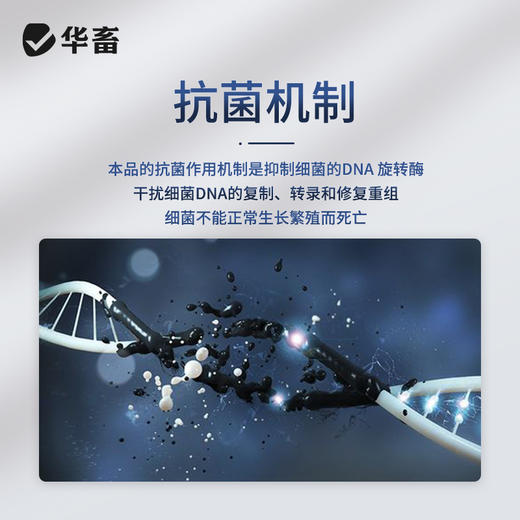 【积分兑换】华畜10%恩诺沙星可溶性粉 黄白痢 支原体感染 进口溶剂 吸收更好猪牛禽水产通用 商品图3