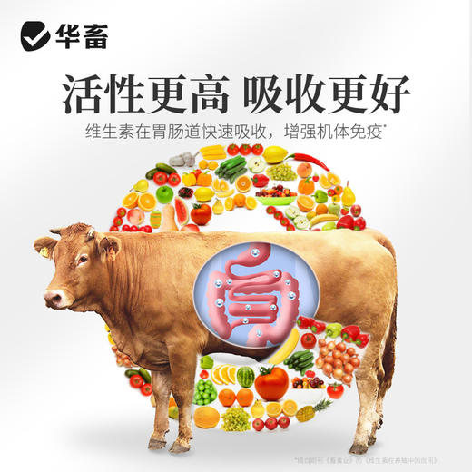 华畜多维速补猪牛羊鸡鸭鹅用补充营养促生长抗应激 商品图2