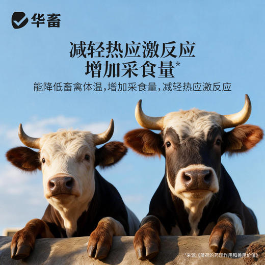 华畜 寒暑应激康1斤 高温应激 解暑降温 孕畜可用 商品图3