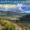 有机露天草莓西红柿||3斤（云南楚雄  厚道缘有机农场) 商品缩略图7