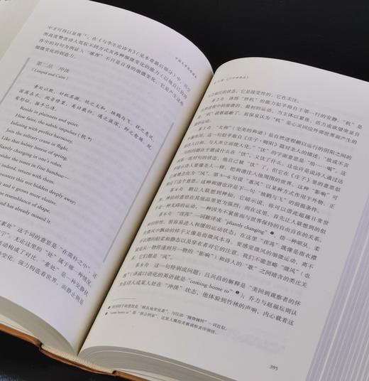 【特惠】《中国文学思想读本：原典.英译.解说》，16开，精装，[美]宇文所安著，三联书店2019年一版一印，840面，定价128，售价：45元。 商品图10