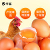 华畜鱼肝油兽用鸡鸭鹅禽用增蛋宝多种维生素ade粉芦丁鸡提高产蛋 商品缩略图3