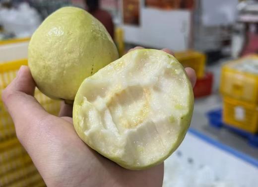 冰淇淋奶油芭乐 低糖低卡路里  2件（净重2.5斤左右/件） 商品图6