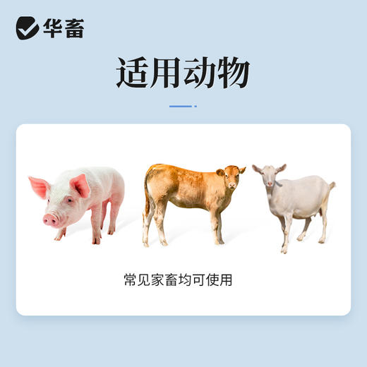 华畜磺胺嘧啶钠注射液10ml*10支 弓形体 脑炎形链球菌 呼吸急促 猪副伤寒 畜用 商品图2