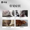 华畜兽药 益母生化散500g 活血化瘀 温经止痛 产后康复保健 活血祛瘀 马牛羊猪用 商品缩略图1