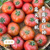有机露天草莓西红柿||3斤（云南楚雄  厚道缘有机农场) 商品缩略图0
