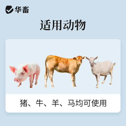 华畜50%葡萄糖注射液 补充能量低血糖症 组织脱水症 商品图2