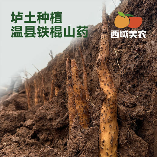 西域美农 温县铁棍山药片 无硫工艺，柳叶片 顺丰发货 商品图1